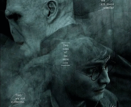 Voldemort Made Harry Immortal