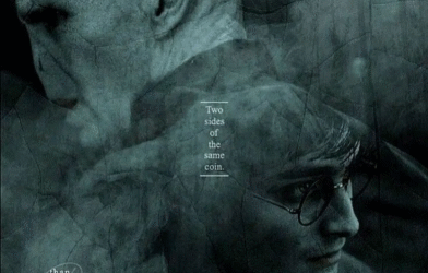 Voldemort Made Harry Immortal