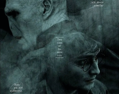 Voldemort Made Harry Immortal