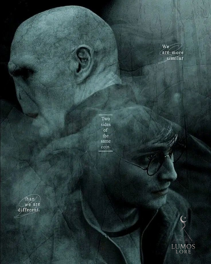 Voldemort Made Harry Immortal